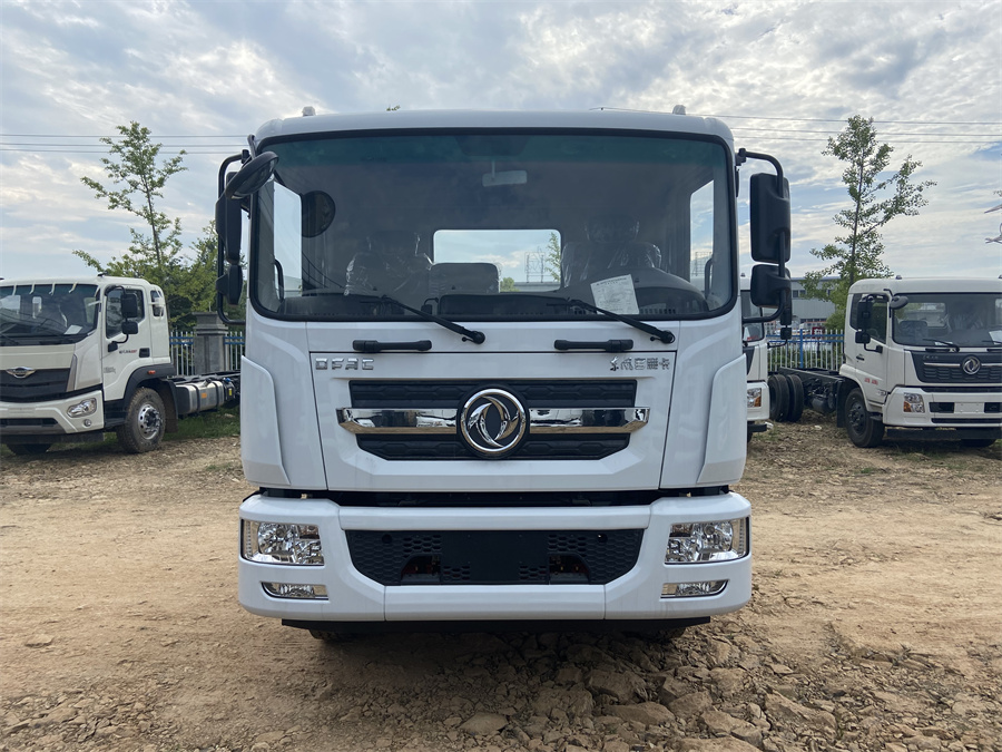 東風D9（3950，康明斯230）國六 內飾照片圖